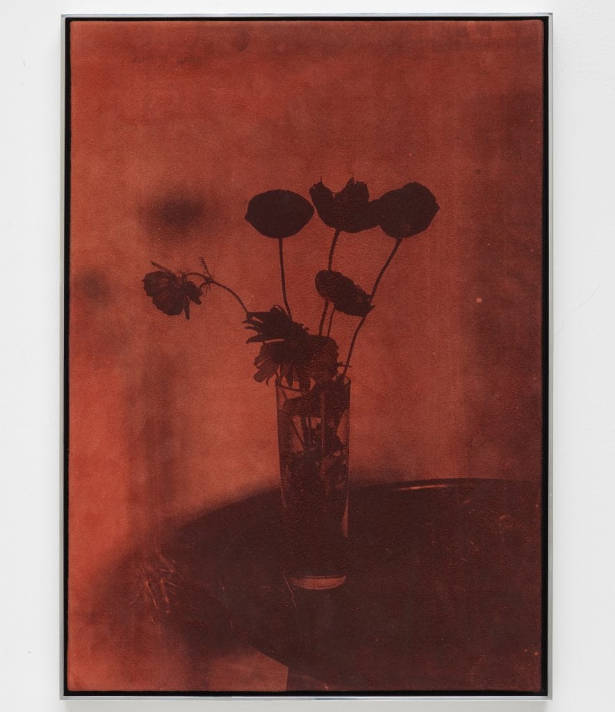 a red-tinted still life of a glass filled with flowers, we can only make out the silhouette 