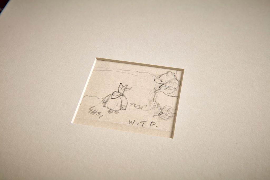 Pencil sketch of a small piglet standing next to a round bear